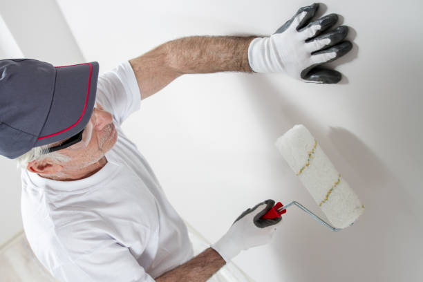 Best Emergency Mold Remediation  in Stem, NC