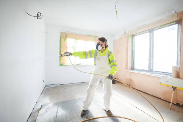Best Mold Prevention Services  in Stem, NC