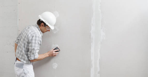 Best Forensic Mold Investigation  in Stem, NC