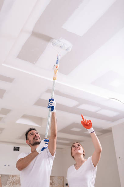 Best Real Estate Mold Inspection  in Stem, NC