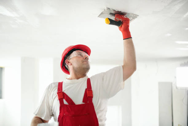Best Water Damage & Mold Remediation  in Stem, NC