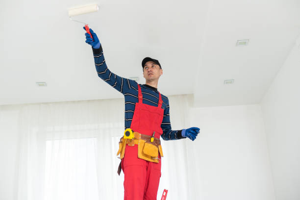 Best Comprehensive Air Testing for Mold Contaminants  in Stem, NC