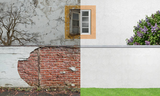 Best Industrial Mold Remediation  in Stem, NC
