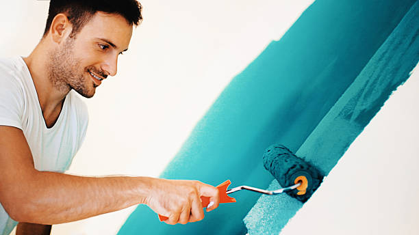 Best Post-Construction Mold Inspection  in Stem, NC