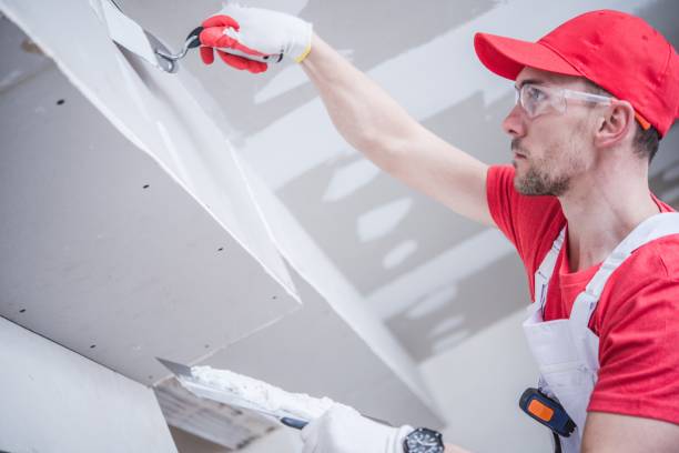 Trusted Stem, NC Mold Removal Experts